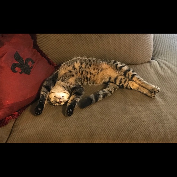 Meet your Posher, Maryjo - Picture 2 of 4